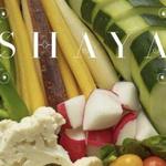 Shaya