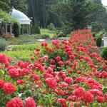 Maymont