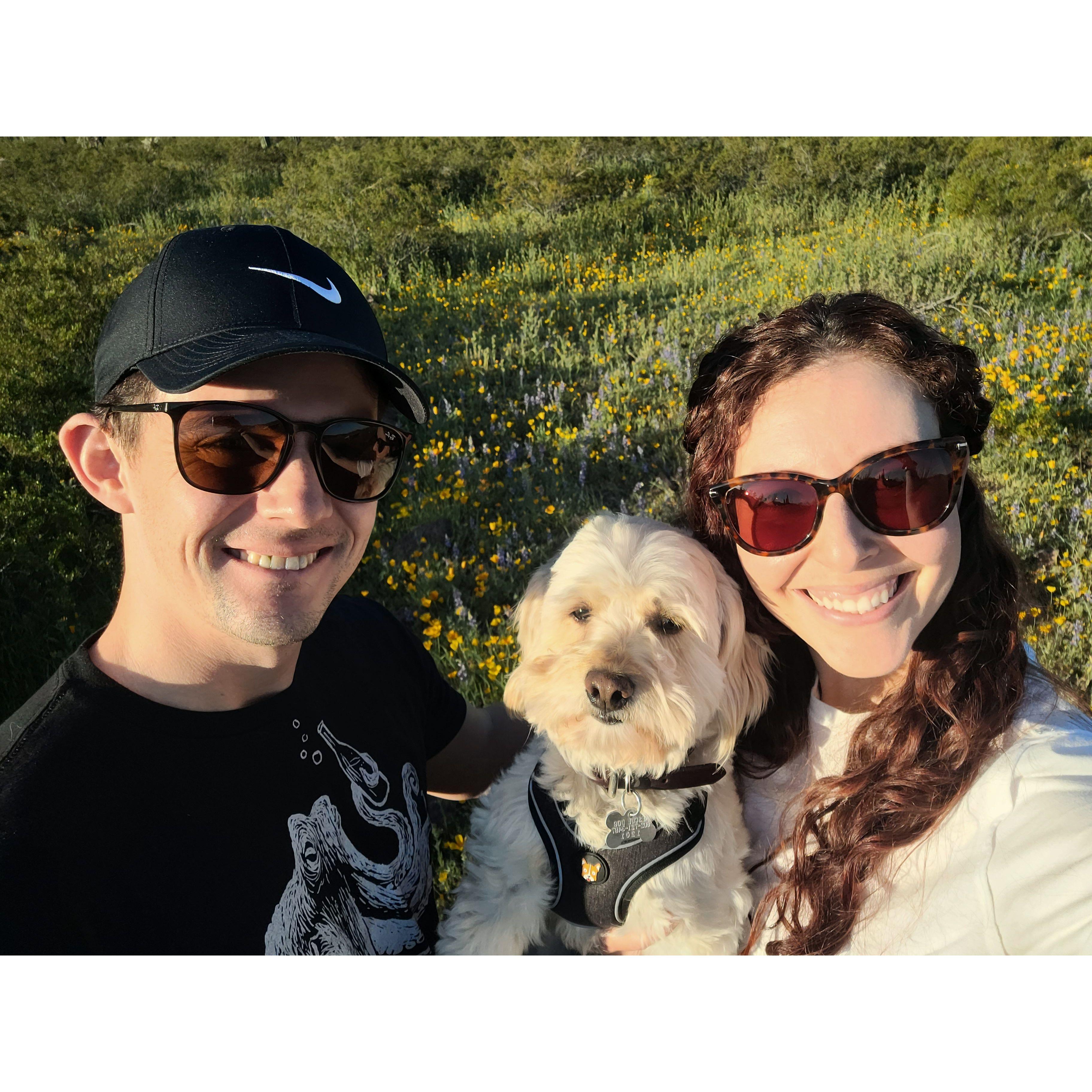 March 2023: Our first hike with our newest pup Wallie! He's settled right into the family!