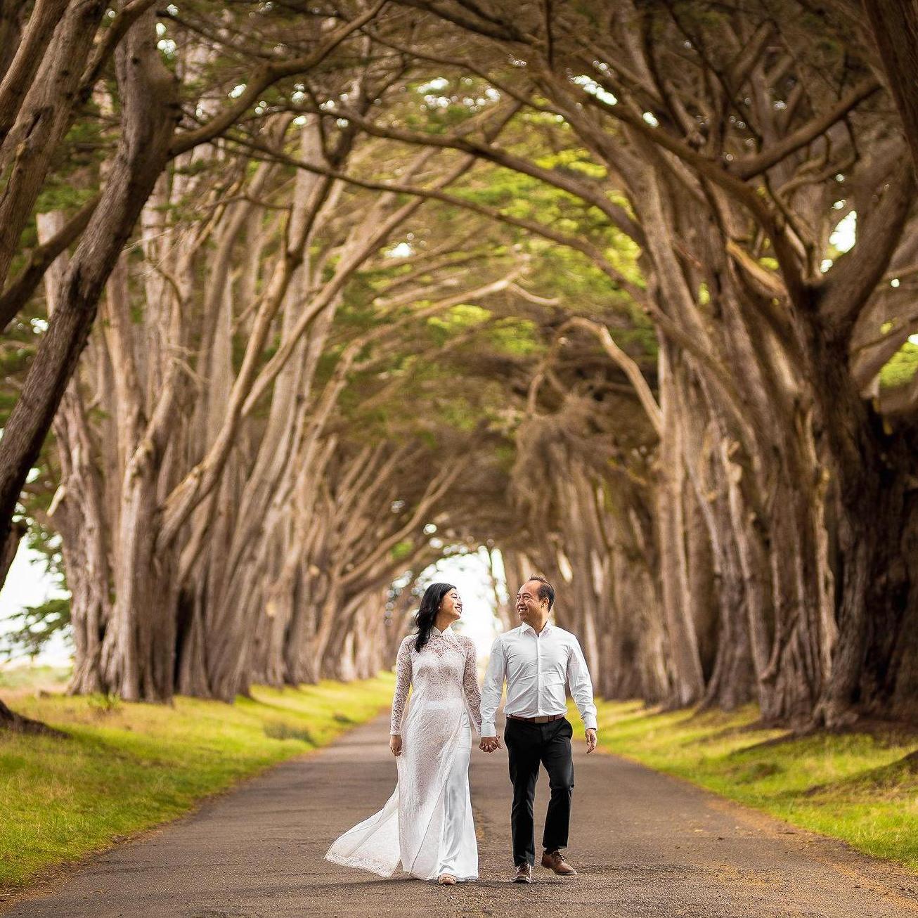 Cypress Tree Tunnel