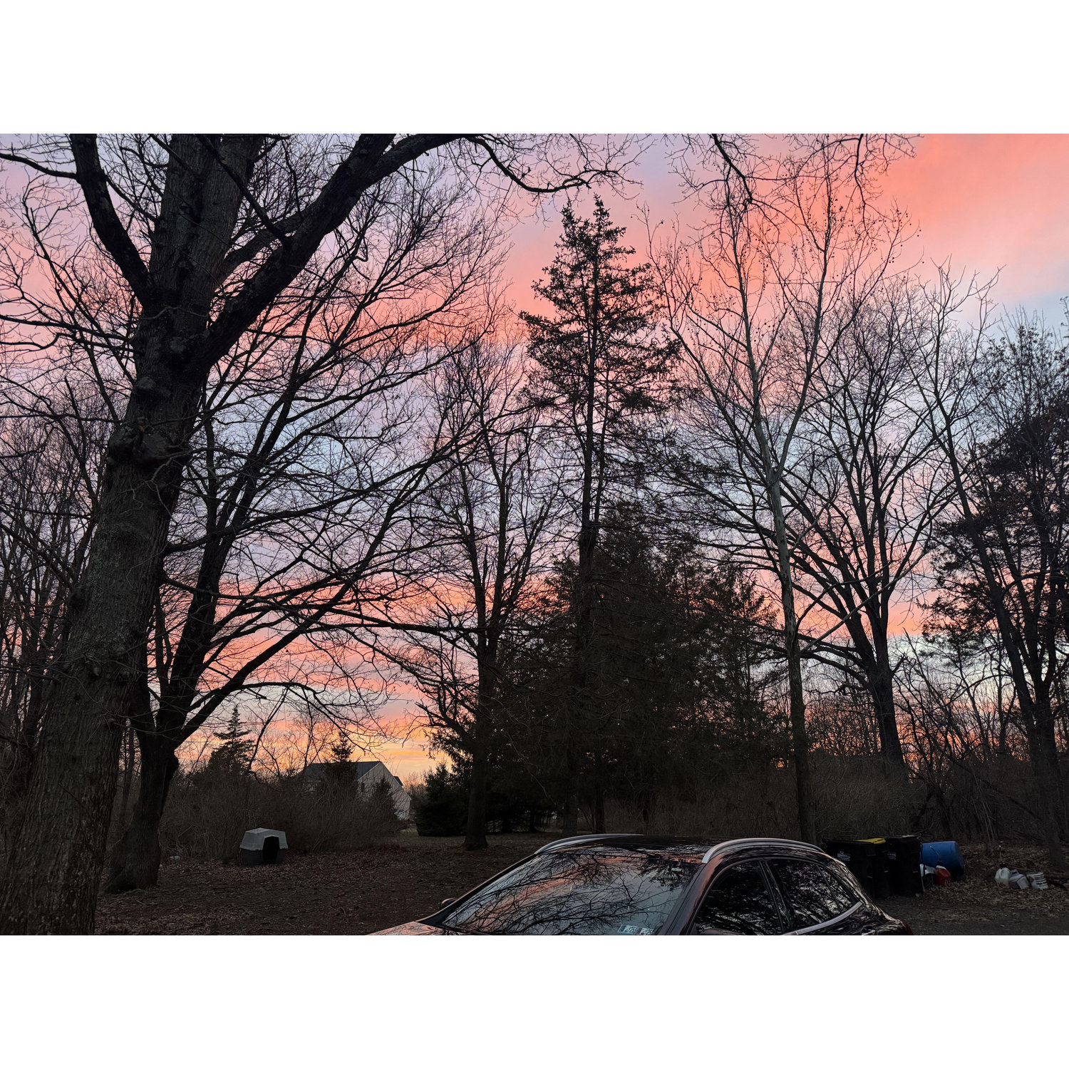 Views from our home