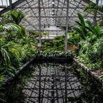 Garfield Park Conservatory