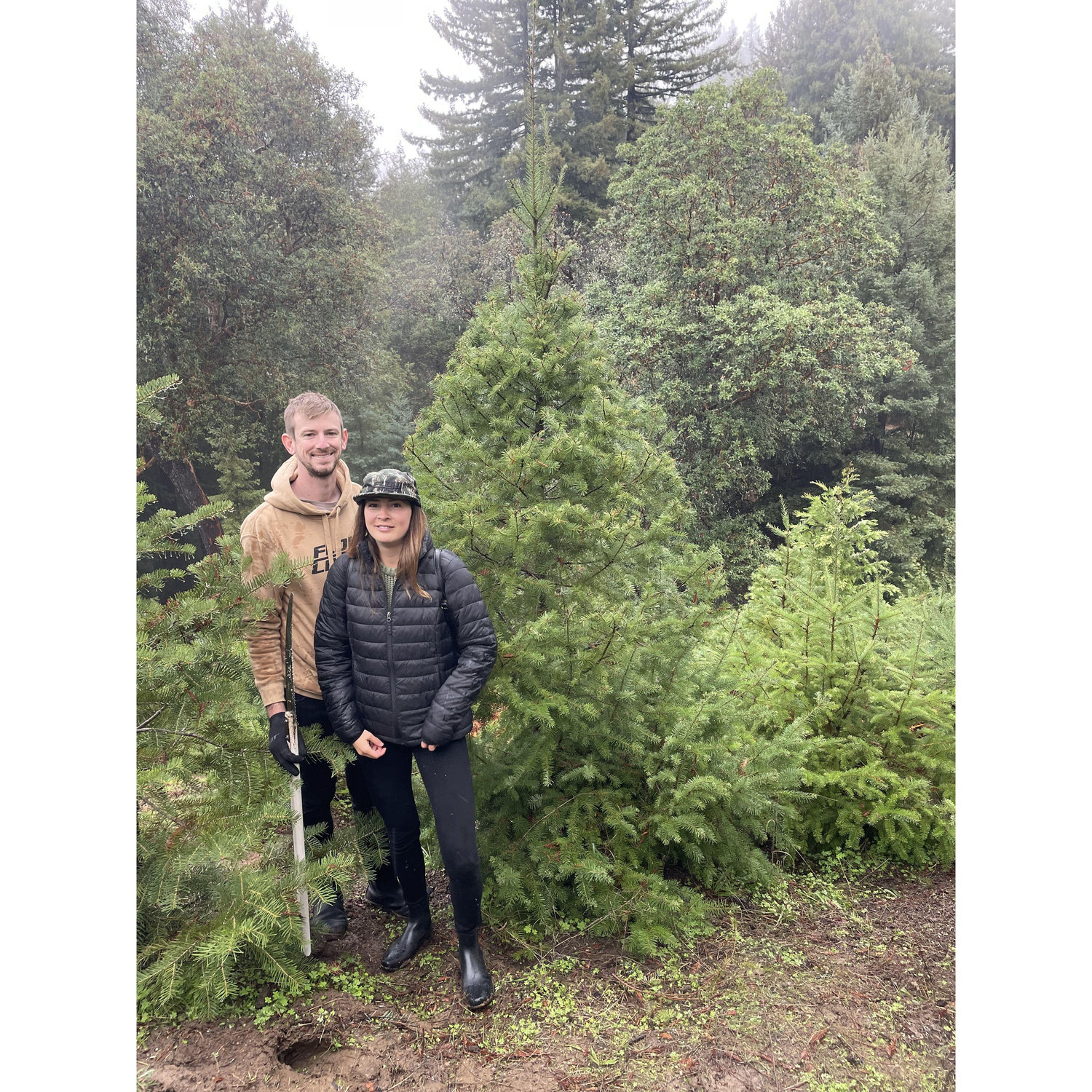 Our first Christmas tree hunt!