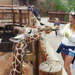 Cheyenne Mountain Zoo