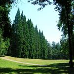 Champoeg State Heritage Area