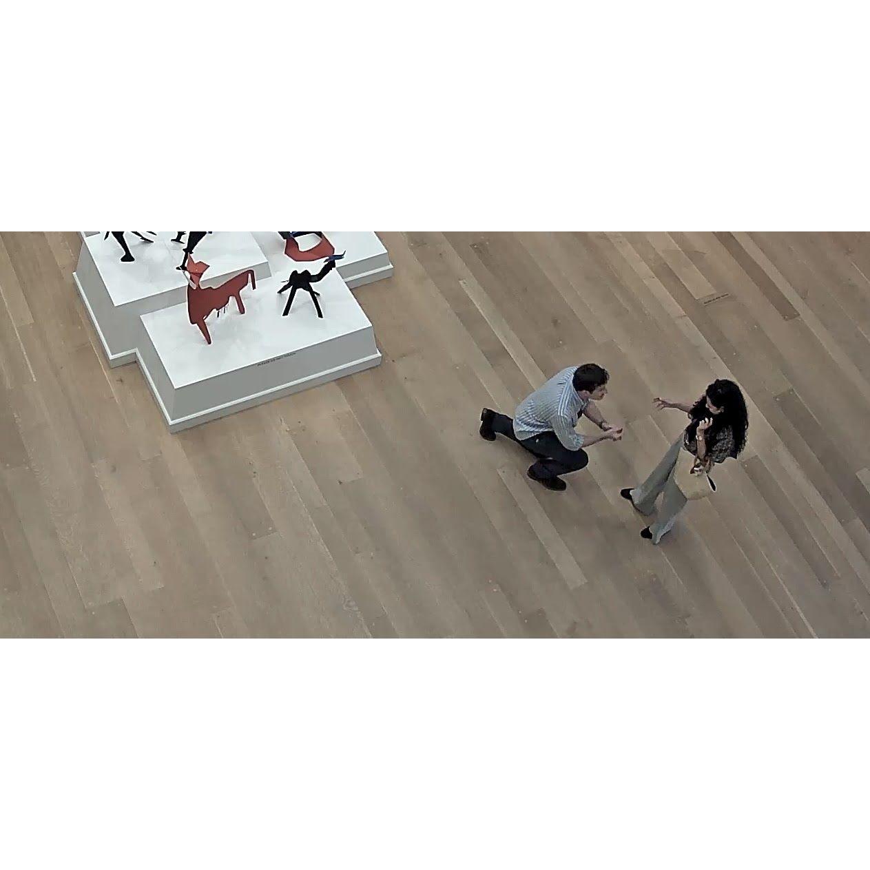 National Gallery of Art, Washington, DC (security cam footage 😅)