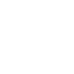 Pins Mechanical Co.