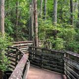 First Landing State Park