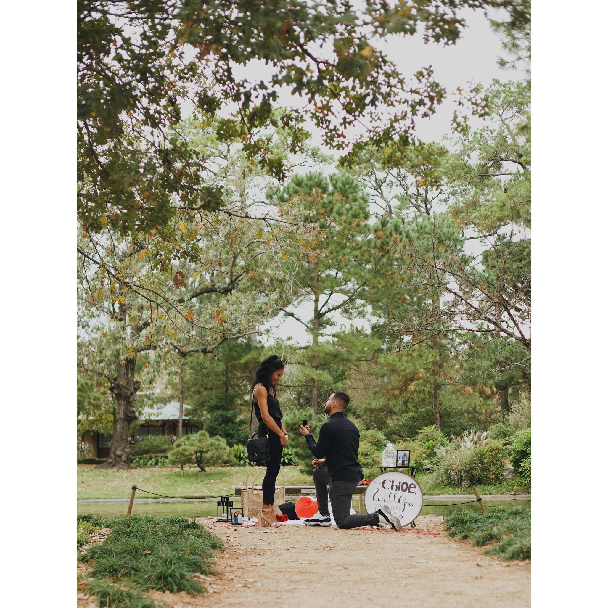 the proposal