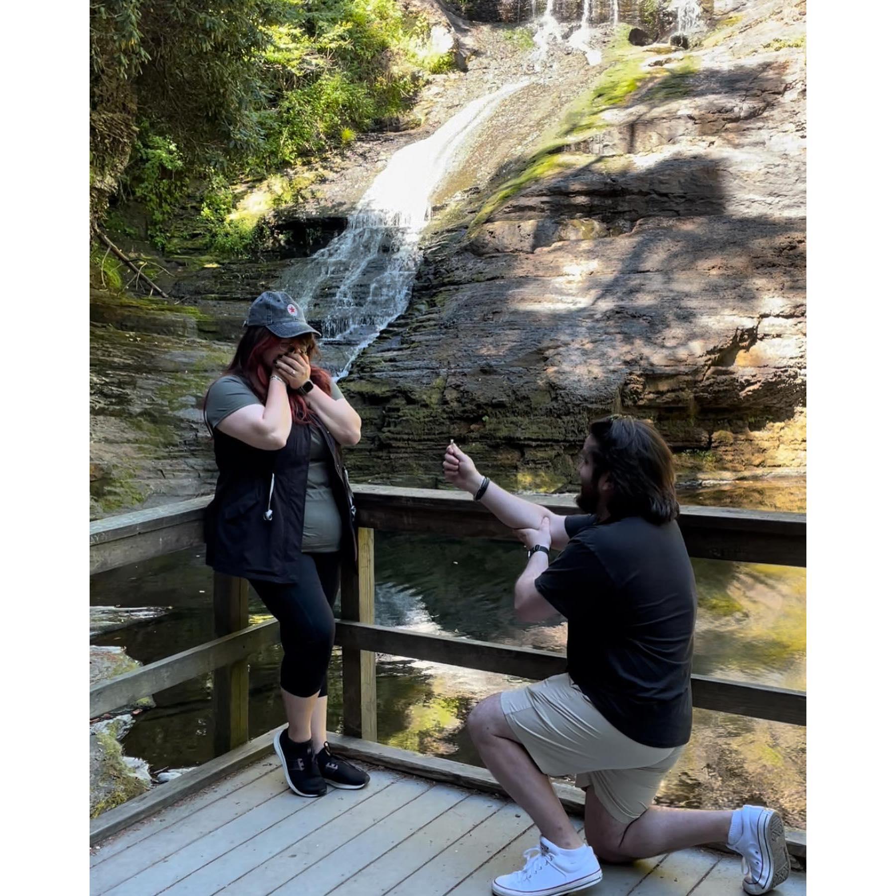 The Proposal - 8/13/22