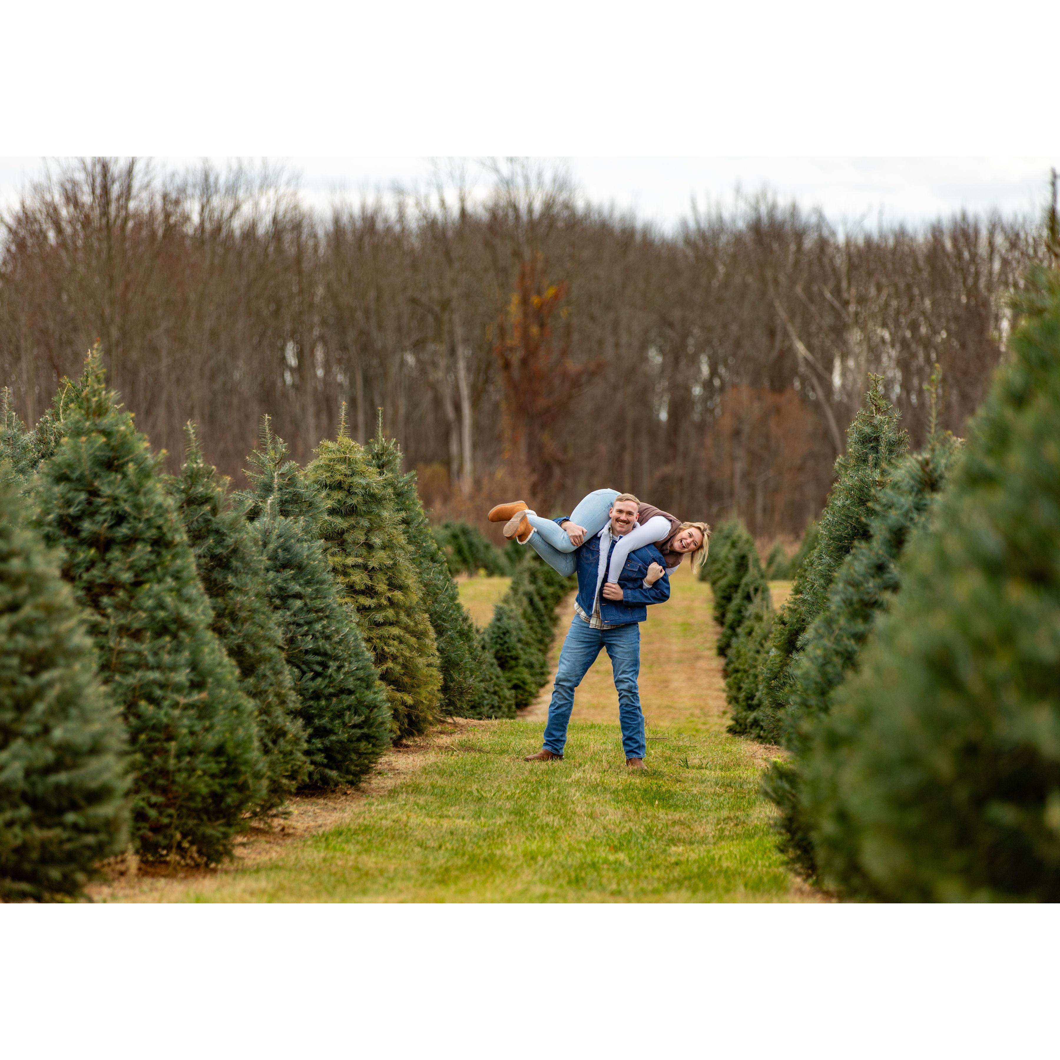 Christmas card photos 2024