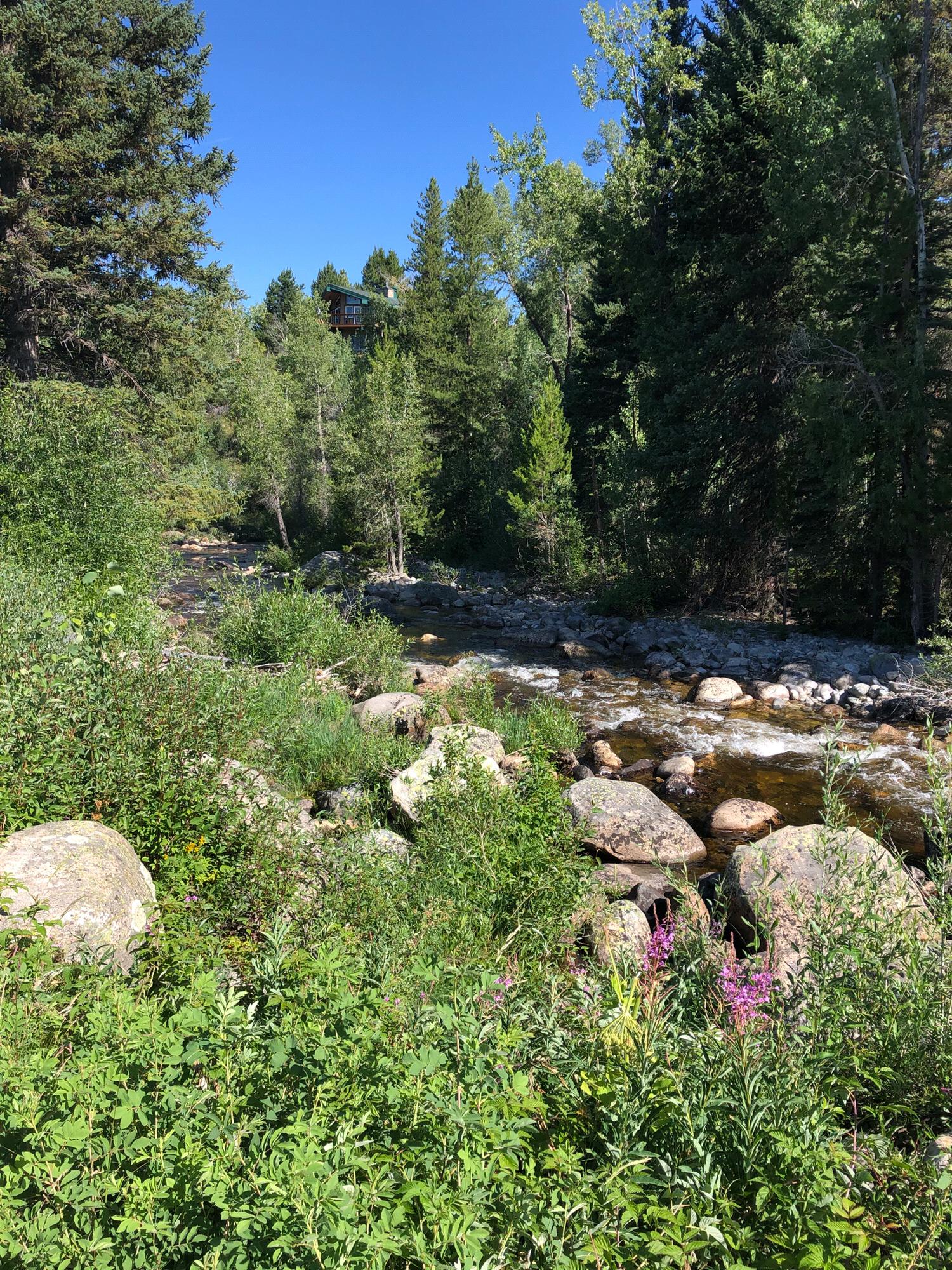 Yampa River