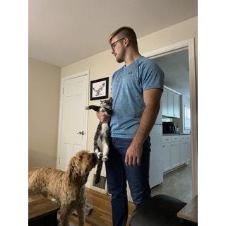 The typical dynamics of the household...