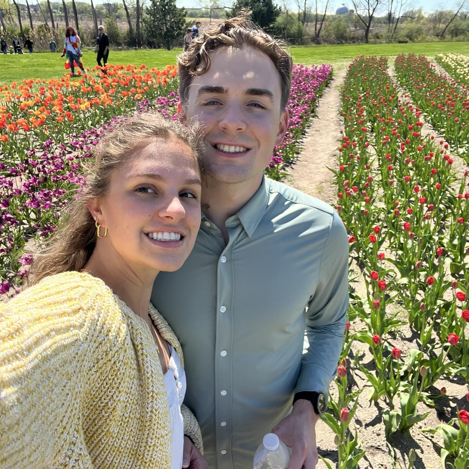 Tulips in Holland!
