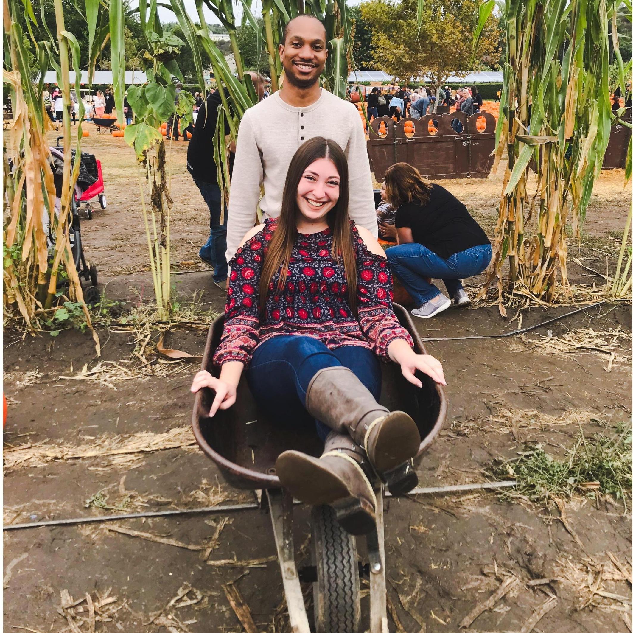 PUMPKIN PATCH