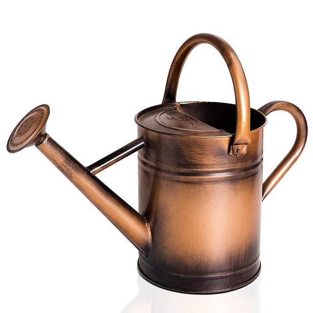 Cesun 1 Gallon Metal Outdoor Watering Can for Outdoor Plants (Copper) - Galvanized Steel Watering Pot with Easy Removable Spout - Perfect for Outdoor Use