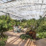 Butterfly Wonderland