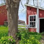HICKS ORCHARD