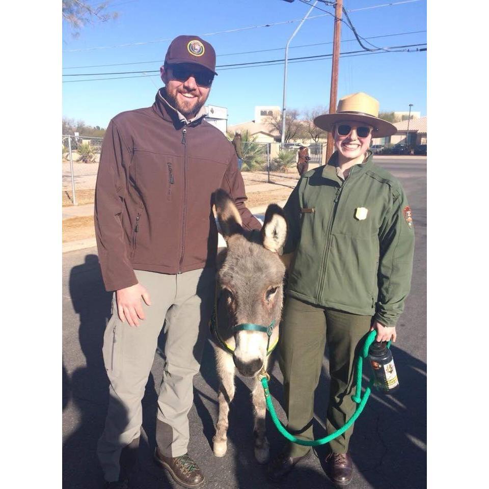 We signed Landis up as a VIP-volunteer in the park- so I could give him a ride back from Tucson and he could be in the Tucson rodeo parade with me! And jasmine the mini donkey!