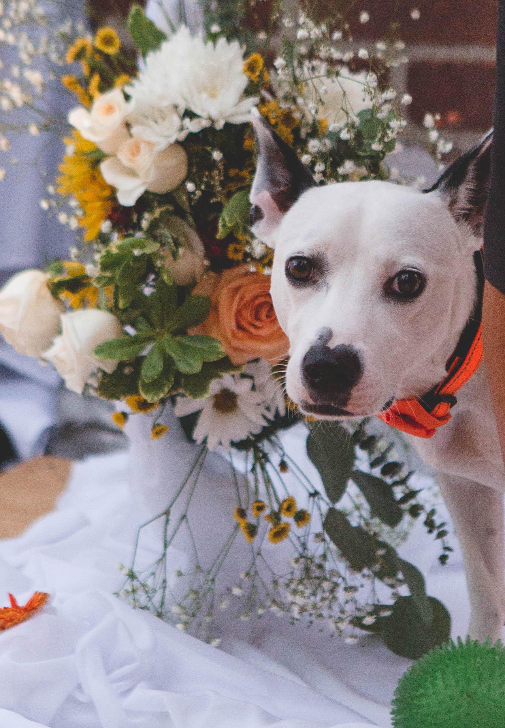 The Wedding Website of Carmen Caceres and Larry Discenza