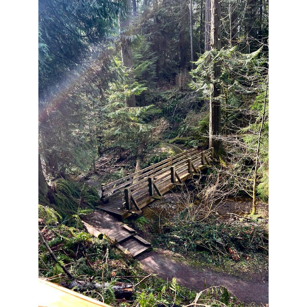 This is "our bridge" where we got engaged
Port Angeles, Washington
3.22.23