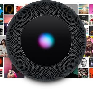 Apple HomePod Gray