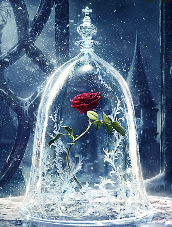 The Wedding Website of A tale as old as time and a song as old as rhyme