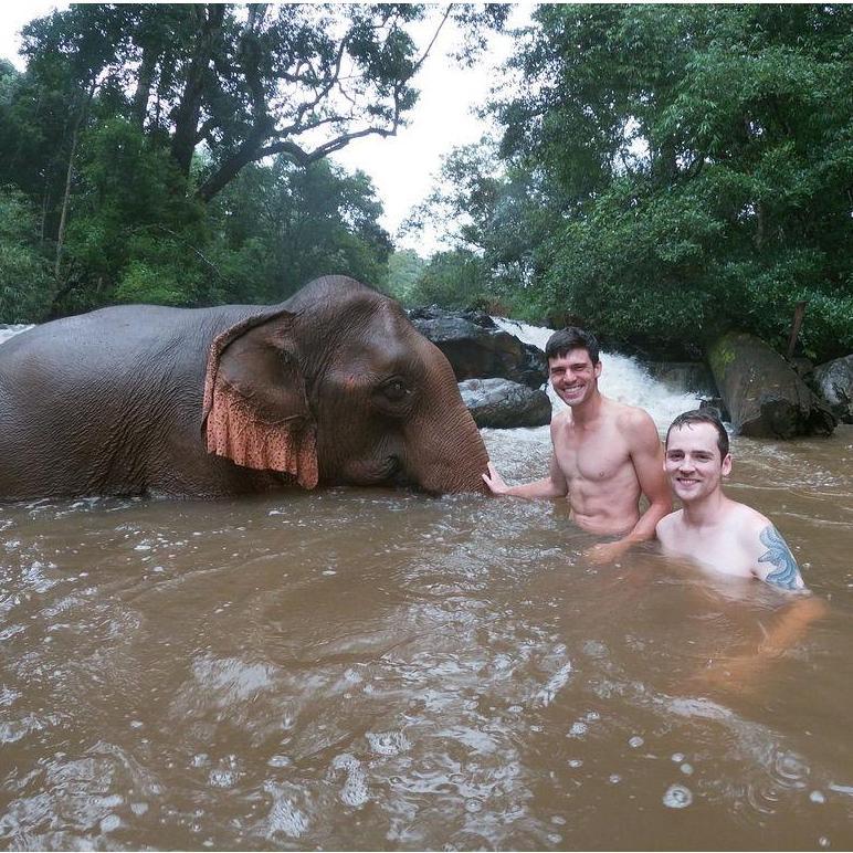 Swimming with an elephant in Cambodia, 2019