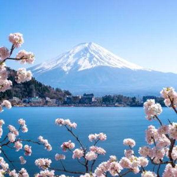 Japan Honeymoon Fund
