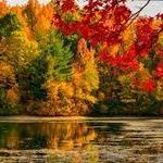New Jersey's Fall Foliage