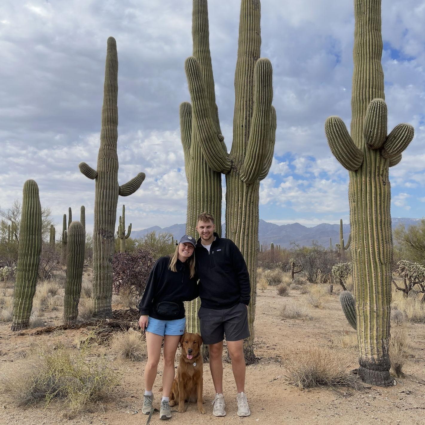 Saguaro National Park 2025