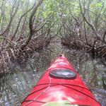 Weedon Island Preserve