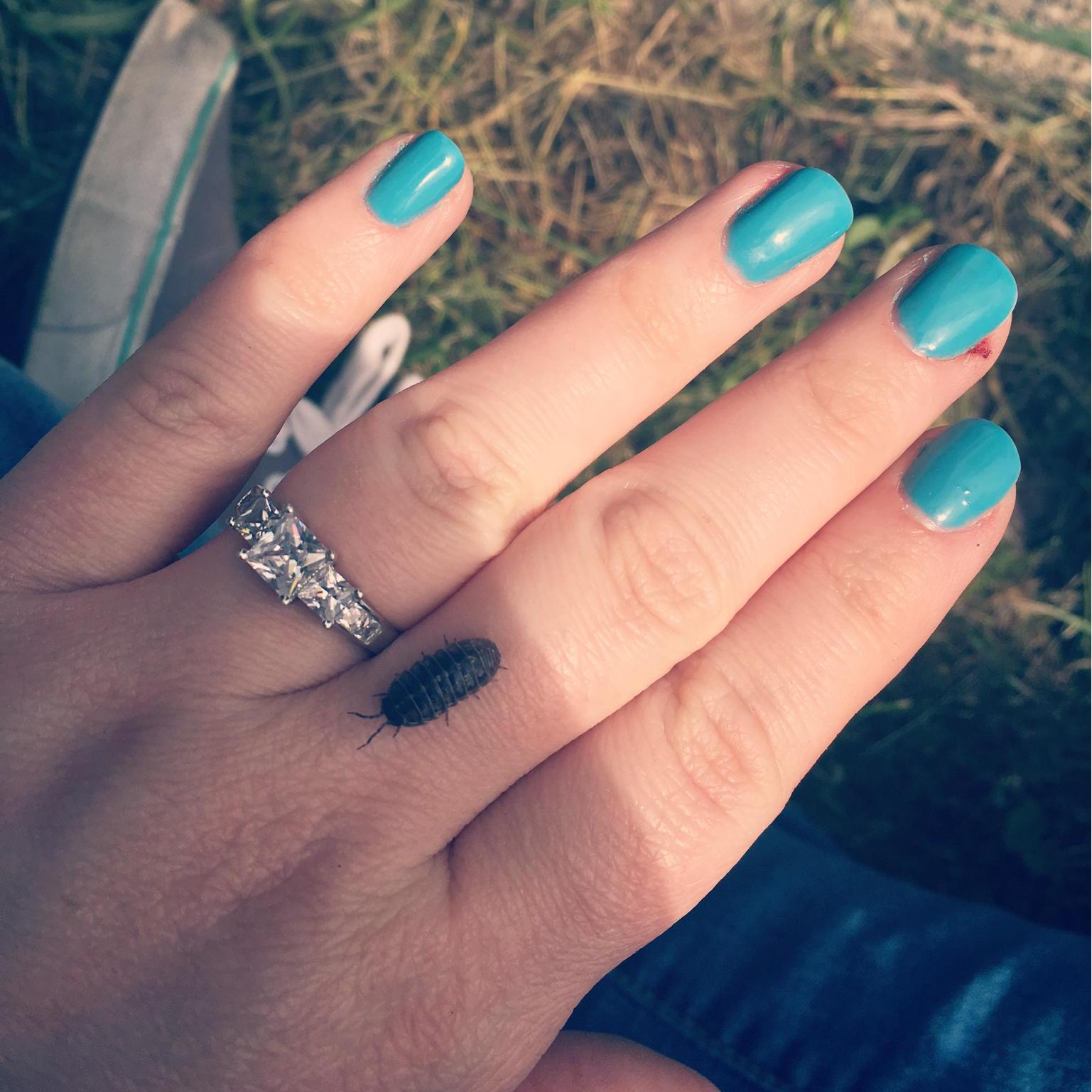 The ring! (and a pill bug)