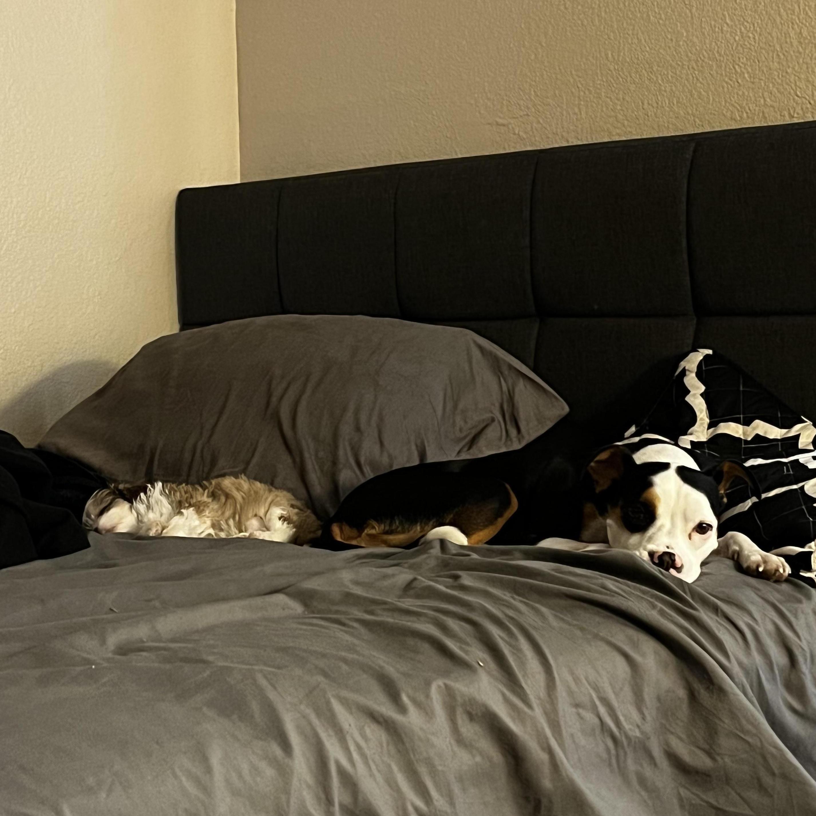 our little family <3