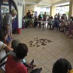 EVENT: Hermit Crab Races at Shupe’s on the Boardwalk on Monday 5/20 at 5 pm