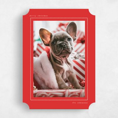 Red Ticket Holiday Card - Frost Portrait