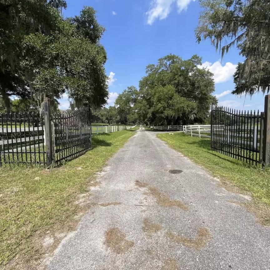 Driveway to get to Airbnb! 🚗