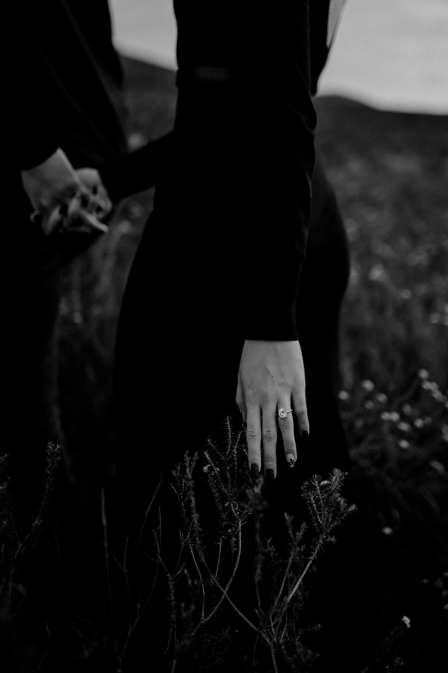 The Wedding Website of Lise Joubert and Storm Noack