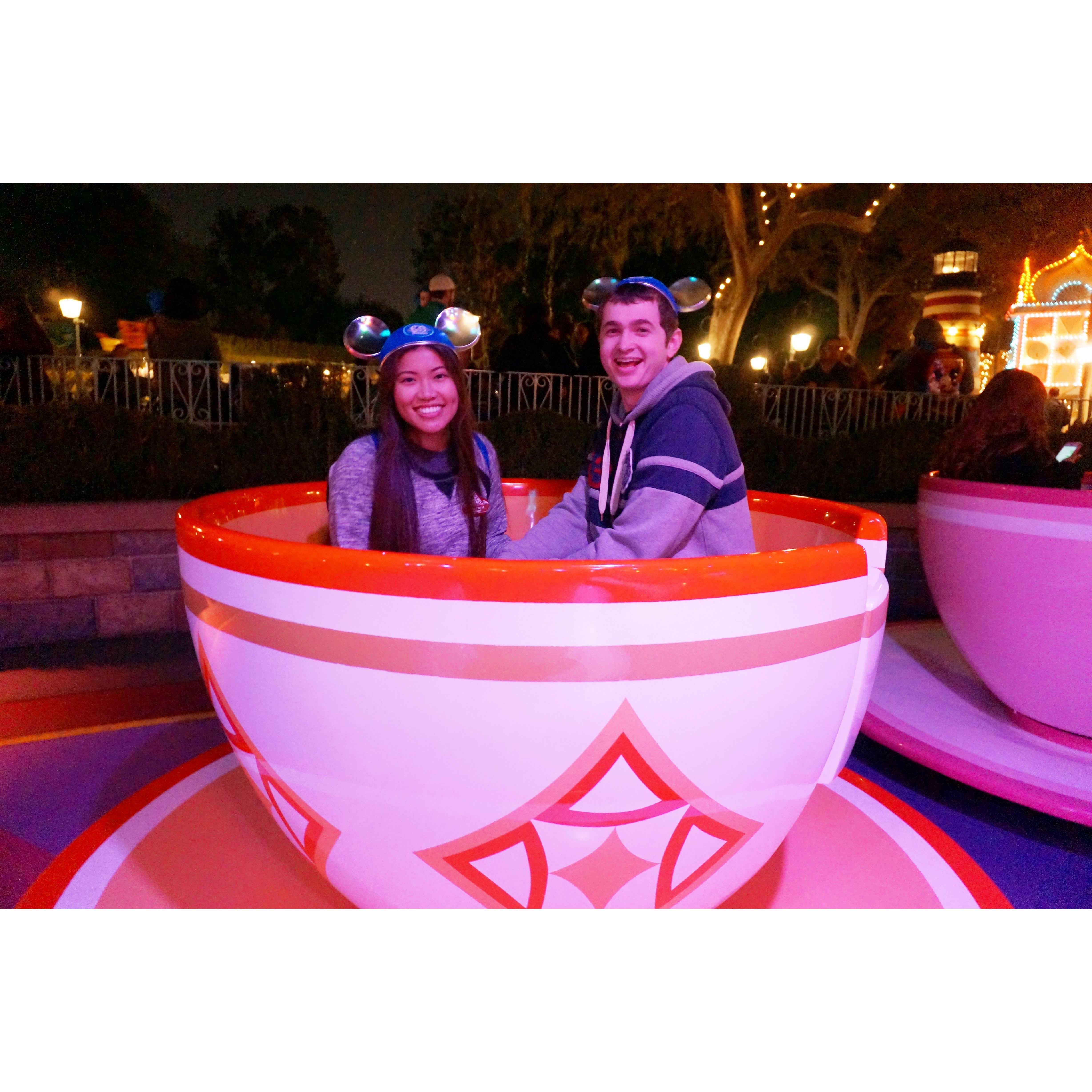 Disneyland 2015