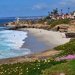 la Jolla Shores Beach