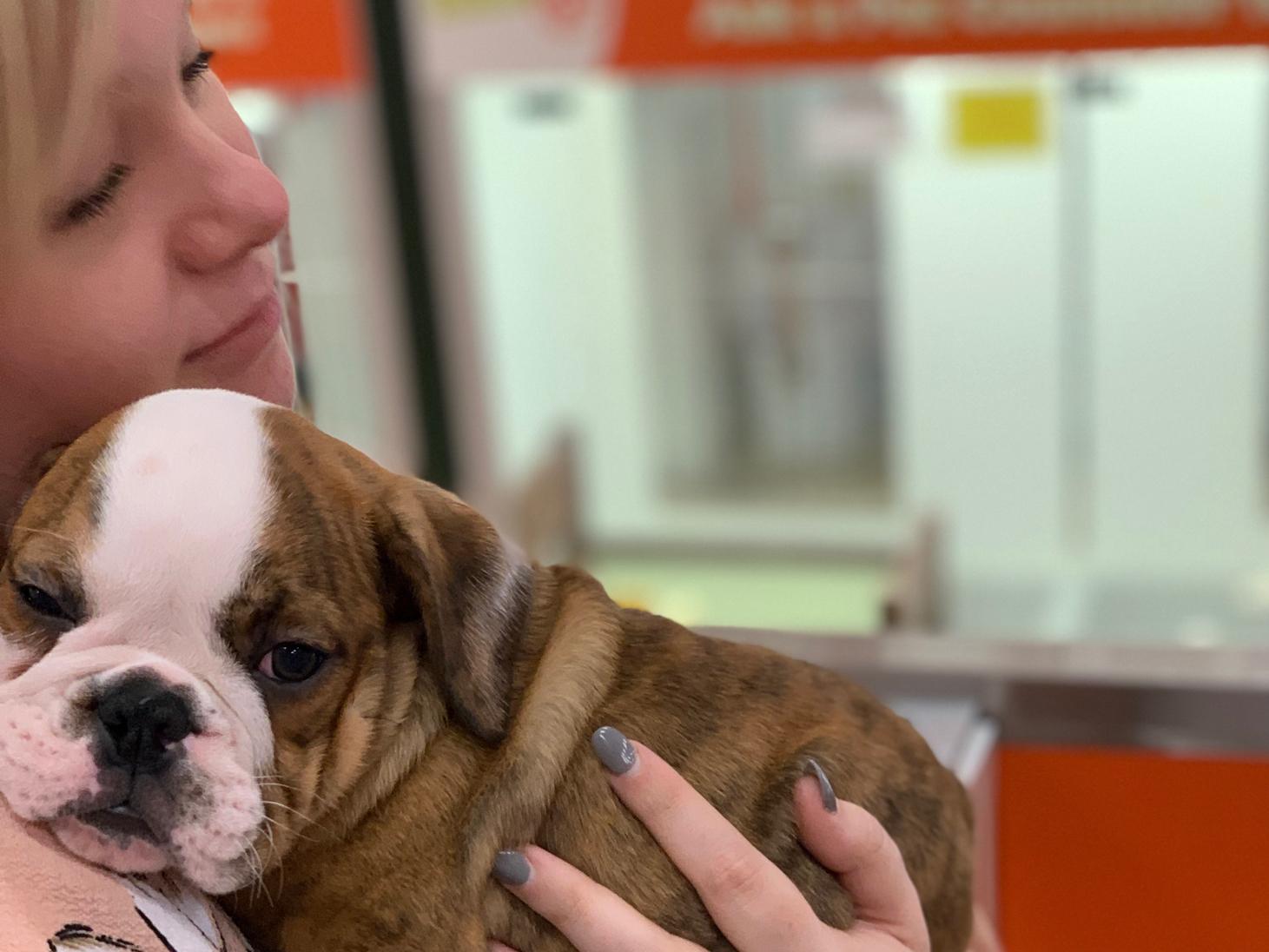 Our (Blake's) Puppy Fund