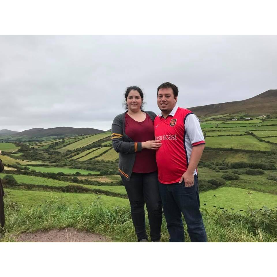 fields in Ireland