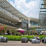Polanco - Shopping and Dining