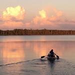 Lake Louisa State Park