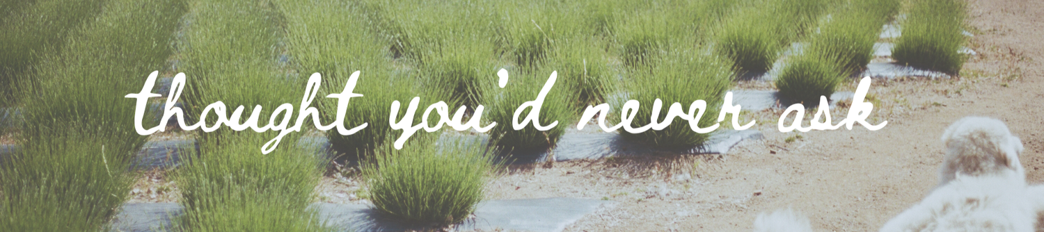 The Wedding Website of Michelle Yang and Bryan Louie