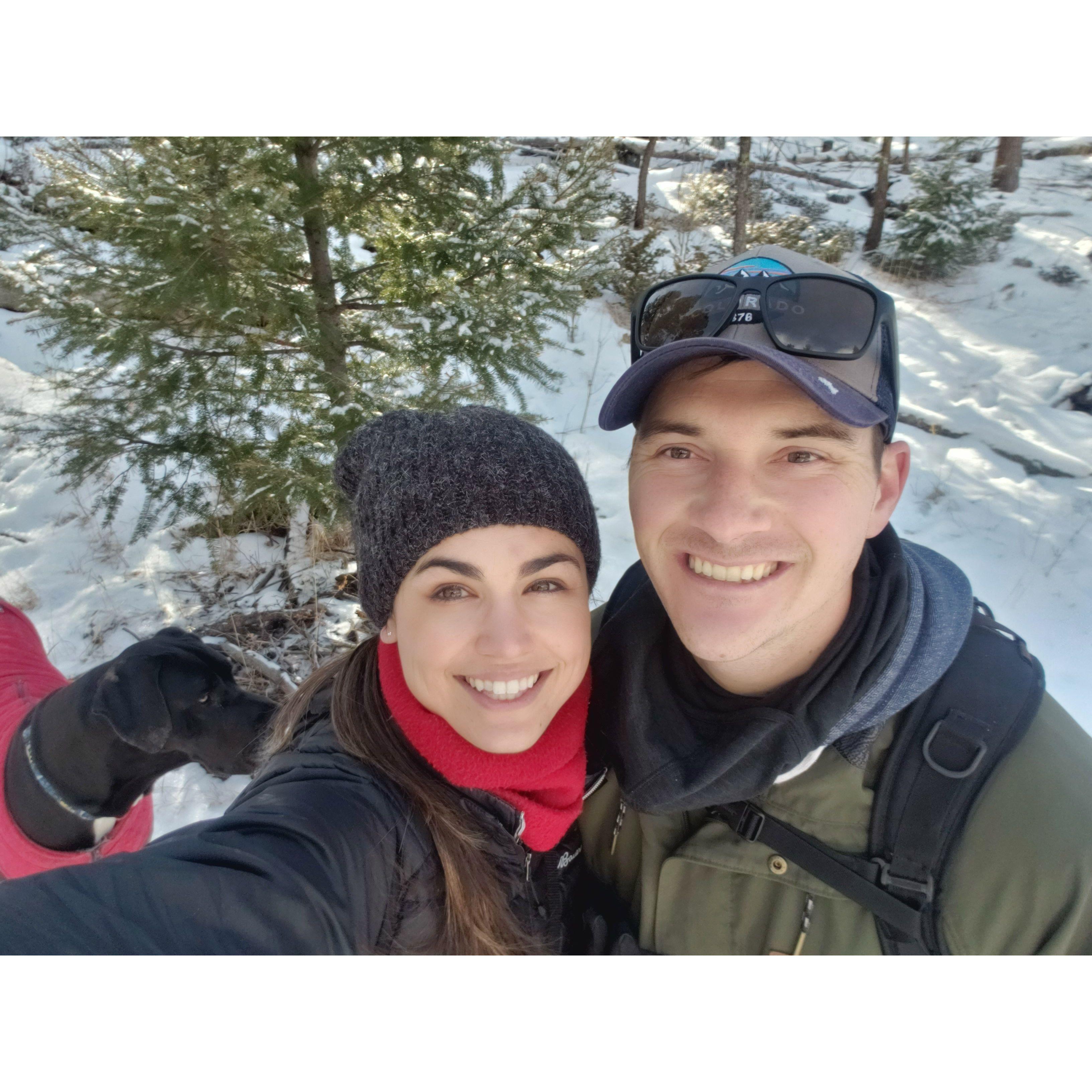 Searching for our Christmas tree in the snow with the puppies!