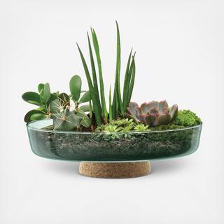 Canopy Planting Bowl