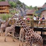 Cheyenne Mountain Zoo