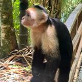 Manuel Antonio National Park