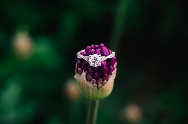 The Wedding Website of Coty Patrizi and Mariah Borlaug